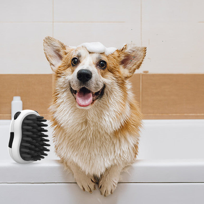 Massage Brush Wet